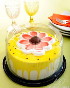 Embalagem Torta Pequena Alta G 50CTA Galvanotek 1,7kg 50 Unidades