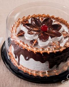 Embalagem Torta Média Alta G 56CTA Galvanotek 2,2kg 50 Unidades