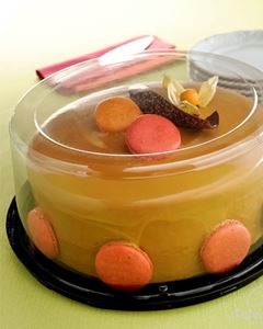 Embalagem Torta Grande Alta G 60CTA Galvanotek 2,2kg 50 Unidades